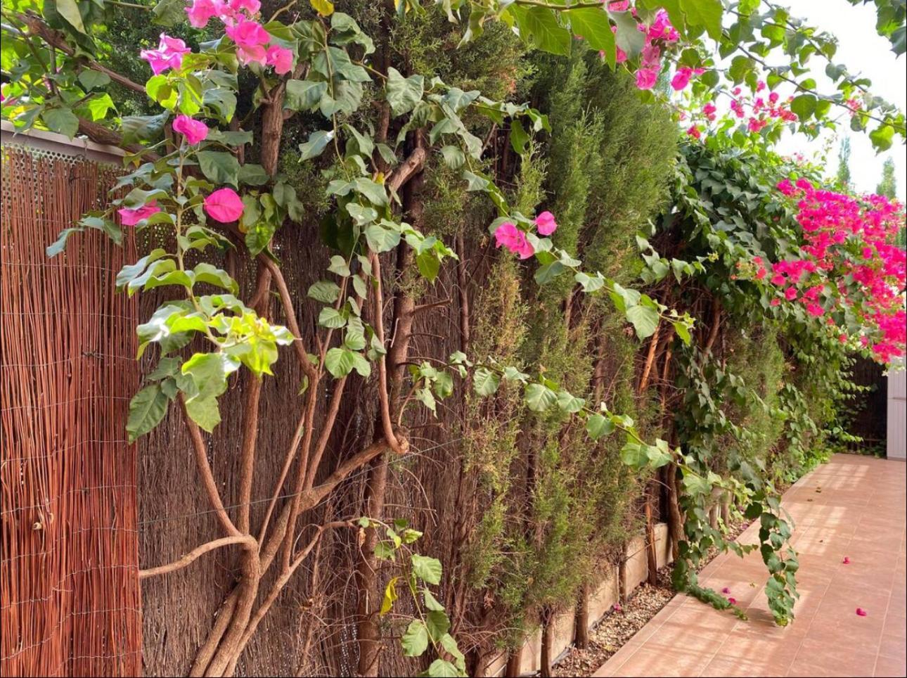 Arruzafa Home กอร์โดบา ภายนอก รูปภาพ